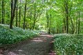 Springtime in Monaghan 2013 (44)